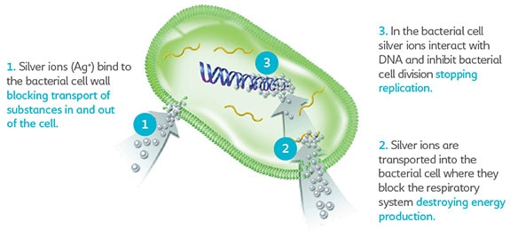 Antimicrobial Coating: Prevention Is Better Than Cure - Call Systems  Technology